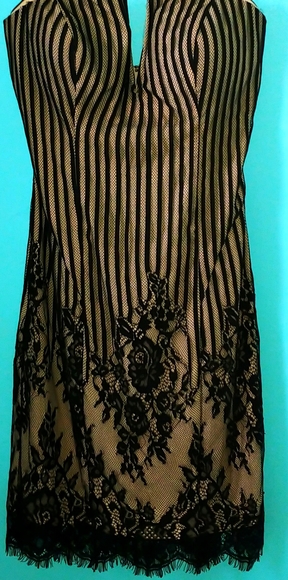 GUESS Black Lace Bodycon Strapless Vacation Dress - Picture 10 of 12